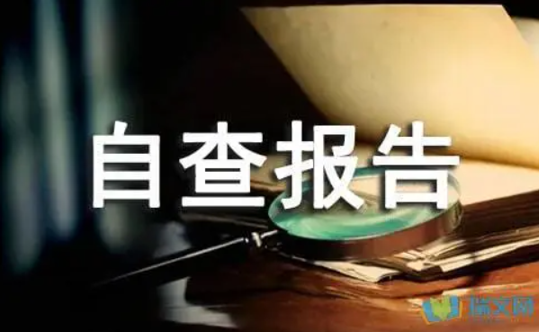 廣元市裕豐財(cái)稅服務(wù)有限公司  關(guān)于2023年度代理記賬相關(guān)業(yè)務(wù)的自查報(bào)告